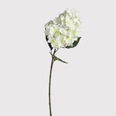White cone hydrangea spray